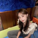 이담헤어 이미지