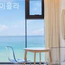 스테이올라 이미지