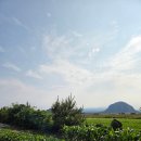 보름 | 제주 보름펜션 산방산이 보이는 조용한 펜션 숙박 후기