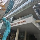 (주)호텔롯데 롯데시티호텔명동 | 서울 ㅣ &lt;롯데시티호텔 명동 뷔페 씨카페&gt; 후기 연말모임 가족모임 장소추천
