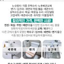 동파텔레콤