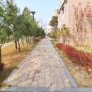 신동아공인중개사사무소 이미지