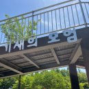 다솜어린이공원화장실 | 마포 평화의공원 모험놀이터 5월 아이와 주말나들이 후기 (주차·준비물 팁)