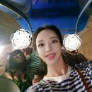 호전카센타 | 애견 동반 3박 4일 여수 여행 3일차! 견생사진건지기꿀팁!&#34;해양레일바이크&#34;+열사병으로강아지죽을뻔한...