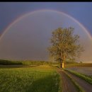 무지개 이미지