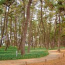 해찬솔길 이미지