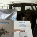 한우농장 여해 | 강아지사료추천 프리모리 하이케어 눈물 알러지 프리미엄 사료