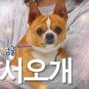 어서오개 - 광명시 금하로527번길 19 | 어서오개