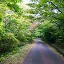 서귀포자연휴양림3 이미지