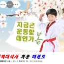킹덤태권도 이미지