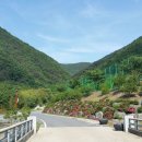 비학산자연휴양림 이미지