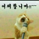 오늘은 이미지