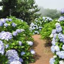 수류화개 이미지