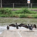 문화의거리 신천1 이미지