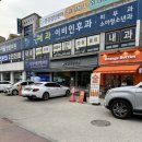 동인동물병원 | 호평동 애견미용 추천 : 동인동물병원에서 토리 예쁘게 미용하고 온 후기