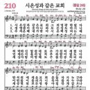 시온성교회 이미지