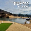 경기도 용인 한림용인CC 1월 겨울라운딩 후기