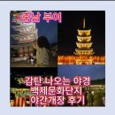 백제문화관광단지 | 부여 백제문화단지 야간개장 야경 후기