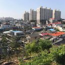 이야기가 있는 사과나무 마을 이미지