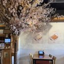 탑메디의원 | 휴직 일상, 동결이식 준비, 부평 연어초밥 탑티어, 집밥 혼밥 메뉴 추천