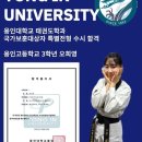 용인대석사제일태권도장 네이버블로그