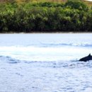 부동산경.공매 이미지