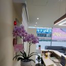 써니헤어샵 - 양산시 | 써니헤어샵