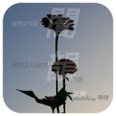 休_Story 이미지