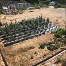 헤이리풀빌라 워라밸 호스텔 이미지