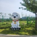 강아지놀이터 이미지