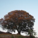 애자축산 이미지