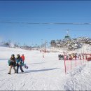 웰리힐리파크 이미지