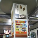 힘찬 민물 장어 이미지