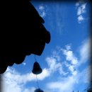 늘푸른건강밥상2 이미지