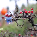 땅끝해양자연사박물관 이미지