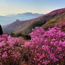 영취산봉수 이미지