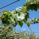 현철농장 이미지