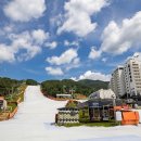 베어스 타운 이미지