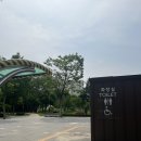 대수길31 이미지