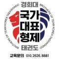경희대 국가대표 형제 태권도 이미지