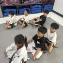 용인대다사랑태권도 이미지
