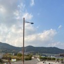 가덕 코이 이미지