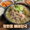 전현무계획3 망원동 뼈해장국 맛집 일등식당 후기
