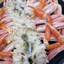 대포대게사랑 이미지