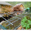 법수펜션 이미지