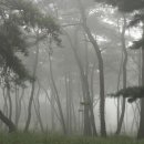 아침을 여는 풍경 이미지