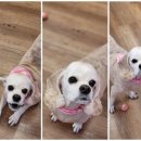 오늘도 너에개 이미지