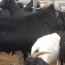 이천제이농장 이미지