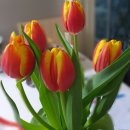 판부농협하나로마트 이미지