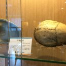 환희컵박물관 이미지